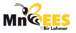 MnBees Tataouine - Bir Lahmar